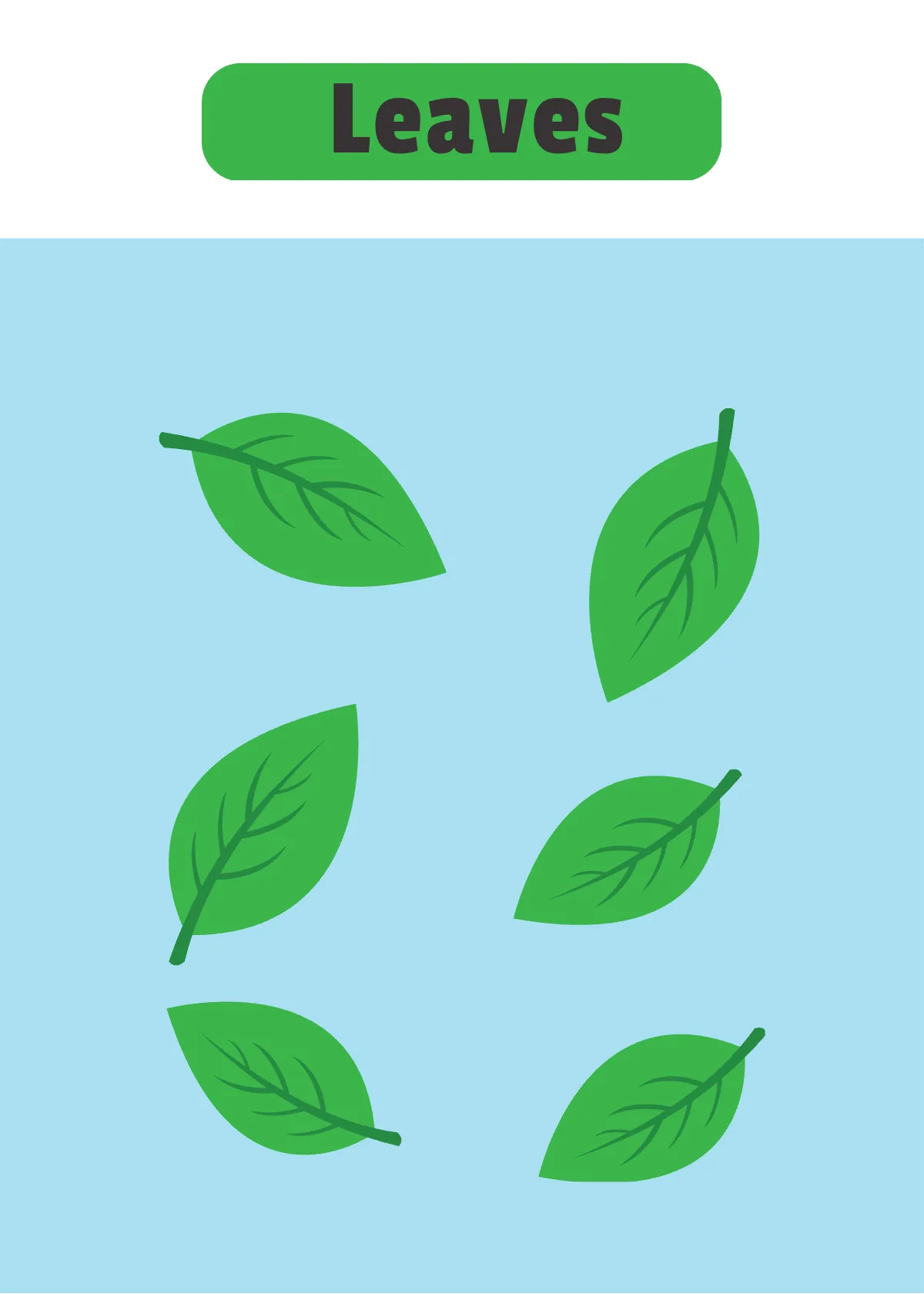 Free Spring Flash Card Template to Edit Online