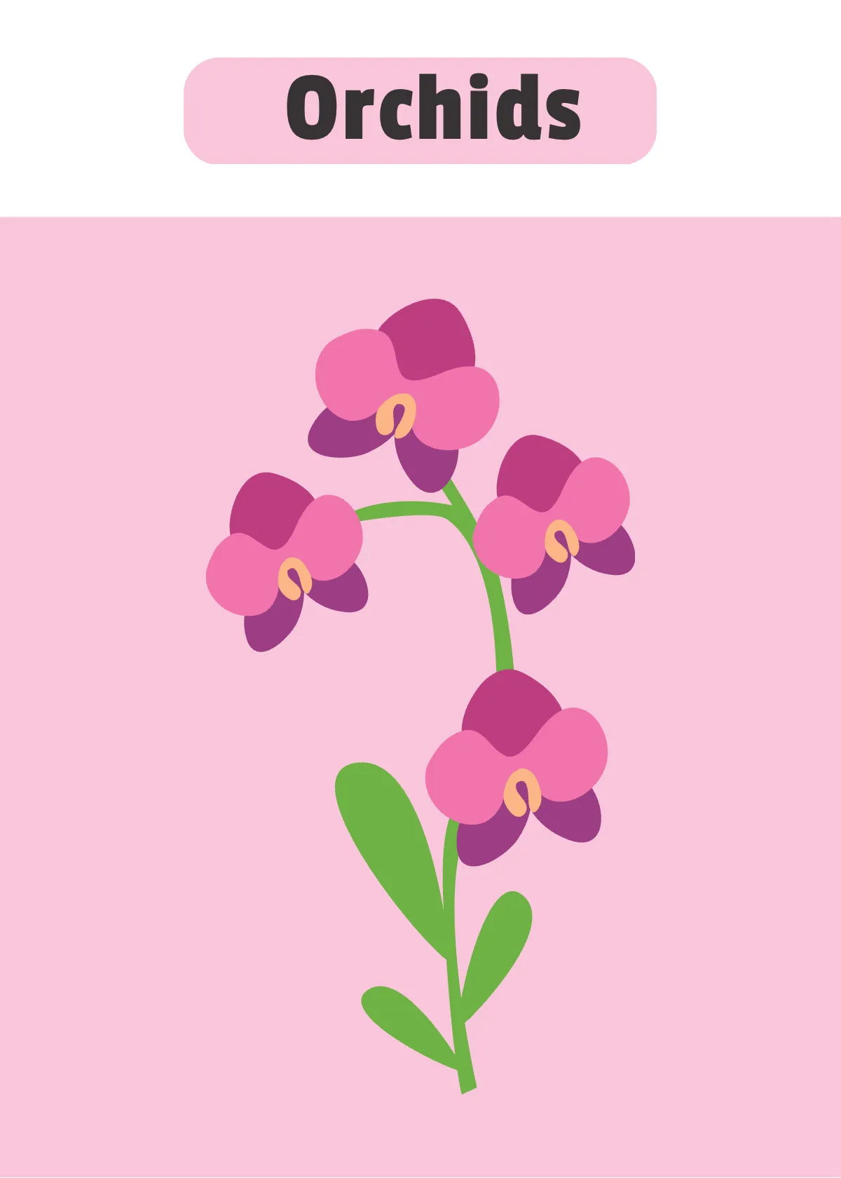 Free Spring Flash Card Template to Edit Online