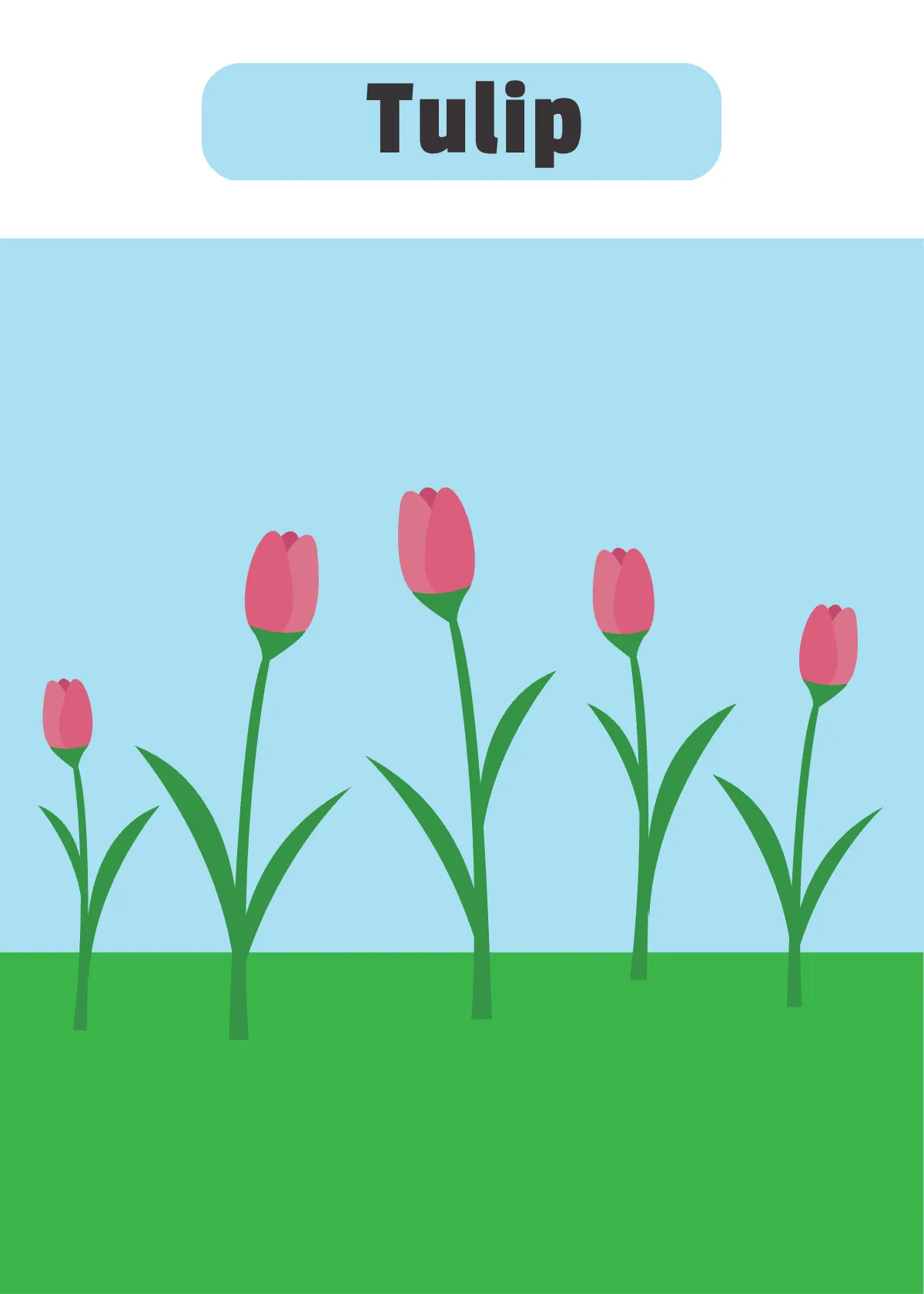 Free Spring Flash Card Template to Edit Online