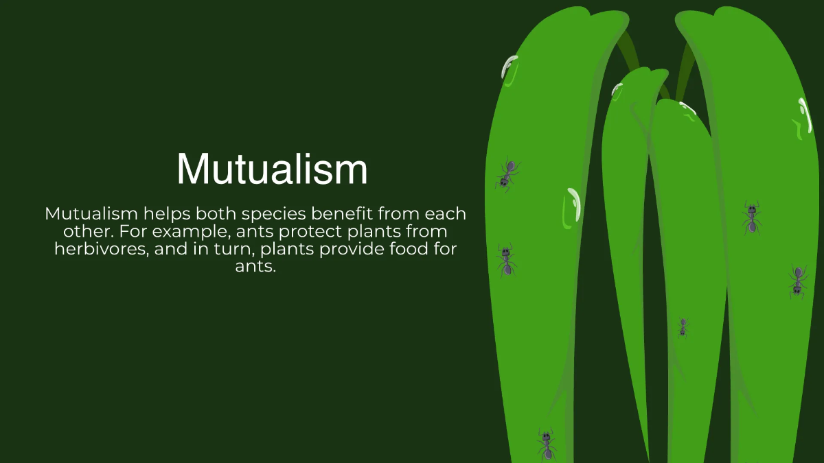 Free Nature Beauty and Evolution Presentation Template to Edit Online