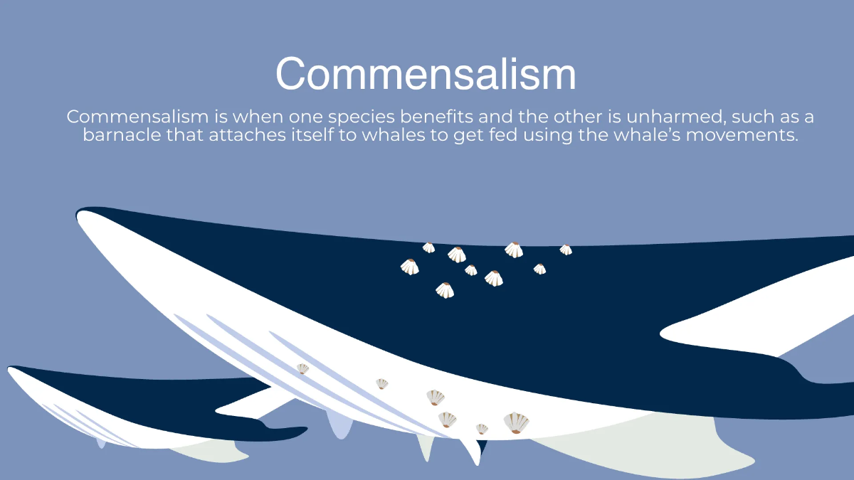 Free Nature Beauty and Evolution Presentation Template to Edit Online