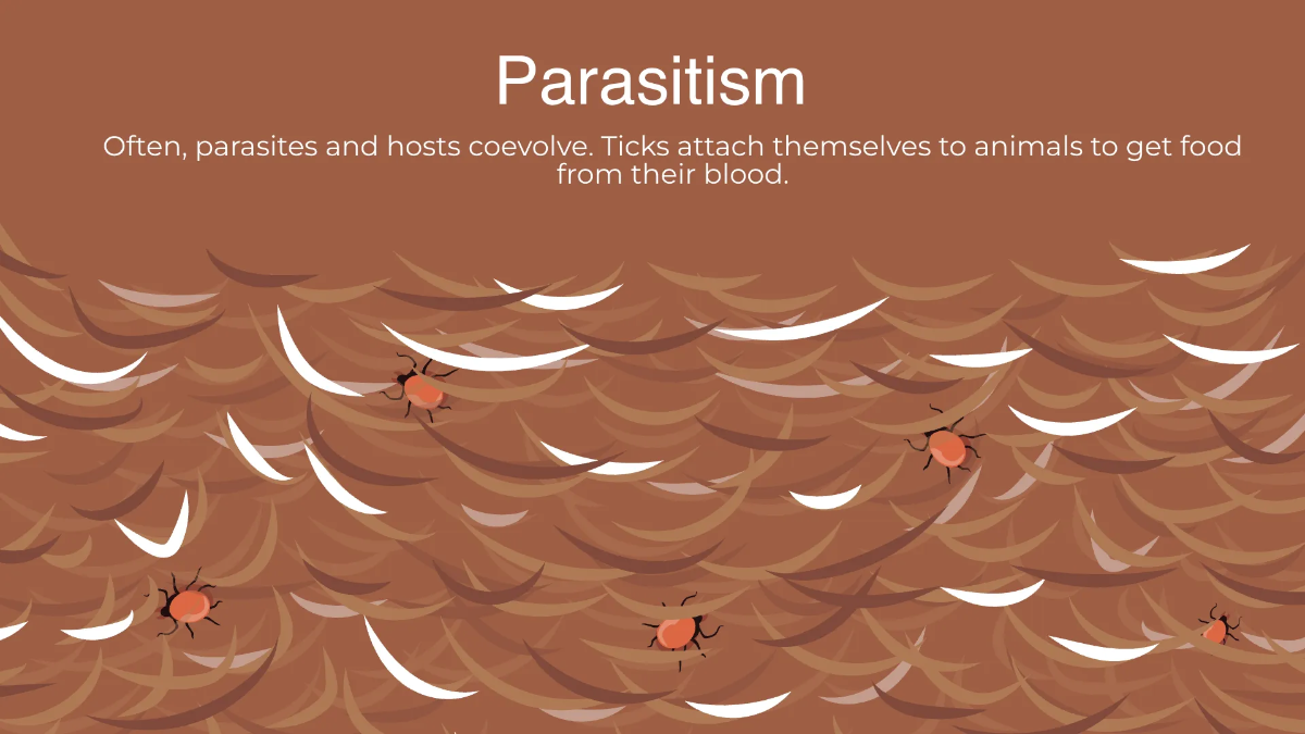 Free Nature Beauty and Evolution Presentation Template to Edit Online