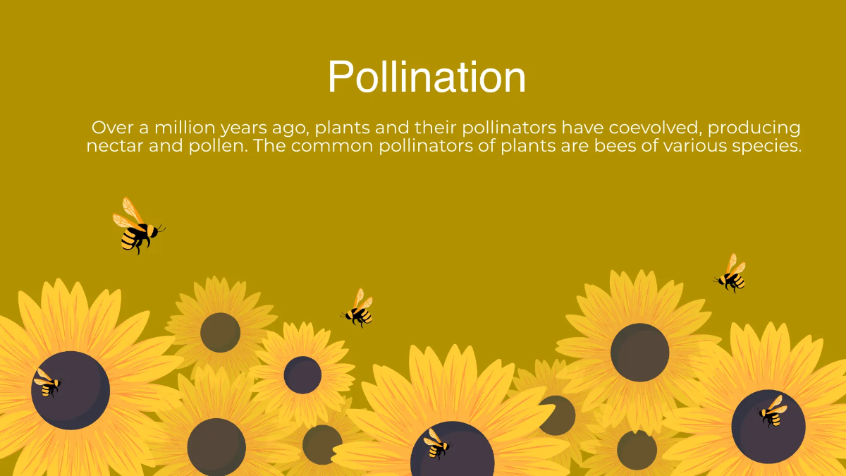 Free Nature Beauty and Evolution Presentation Template to Edit Online