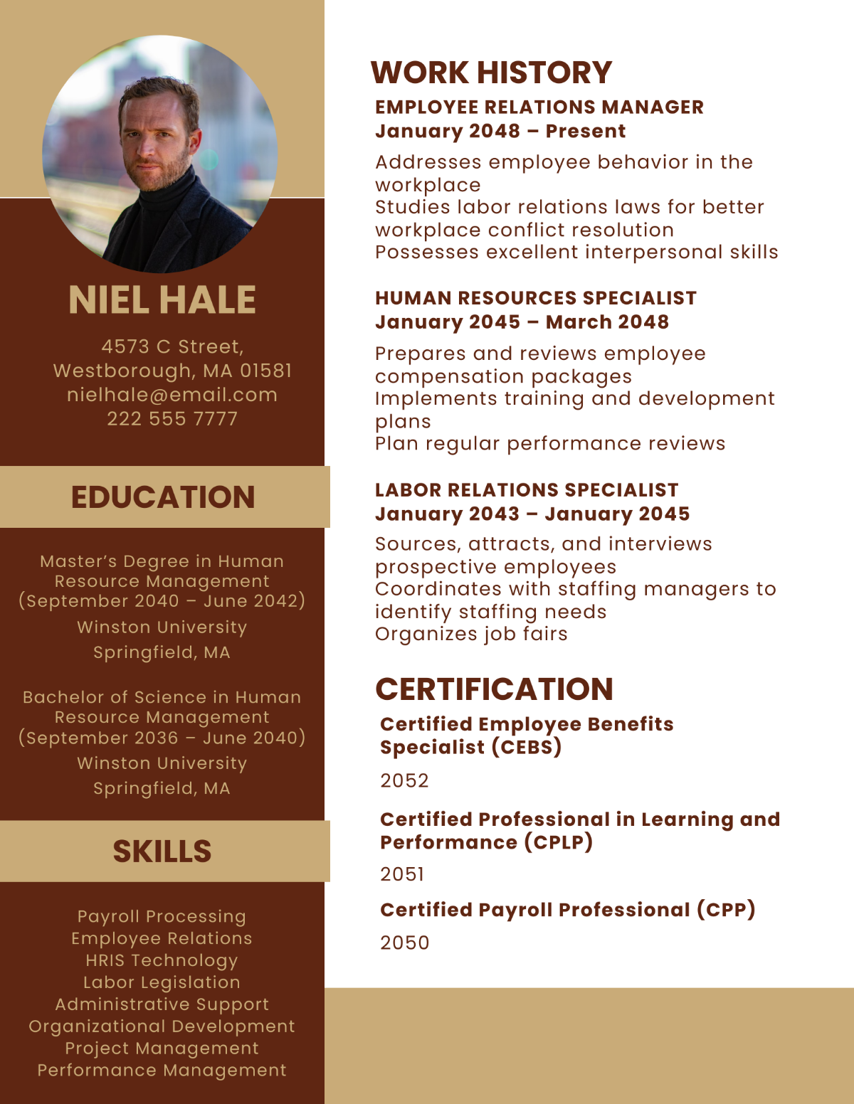 Modern Vice President of Human Resource Resume Template