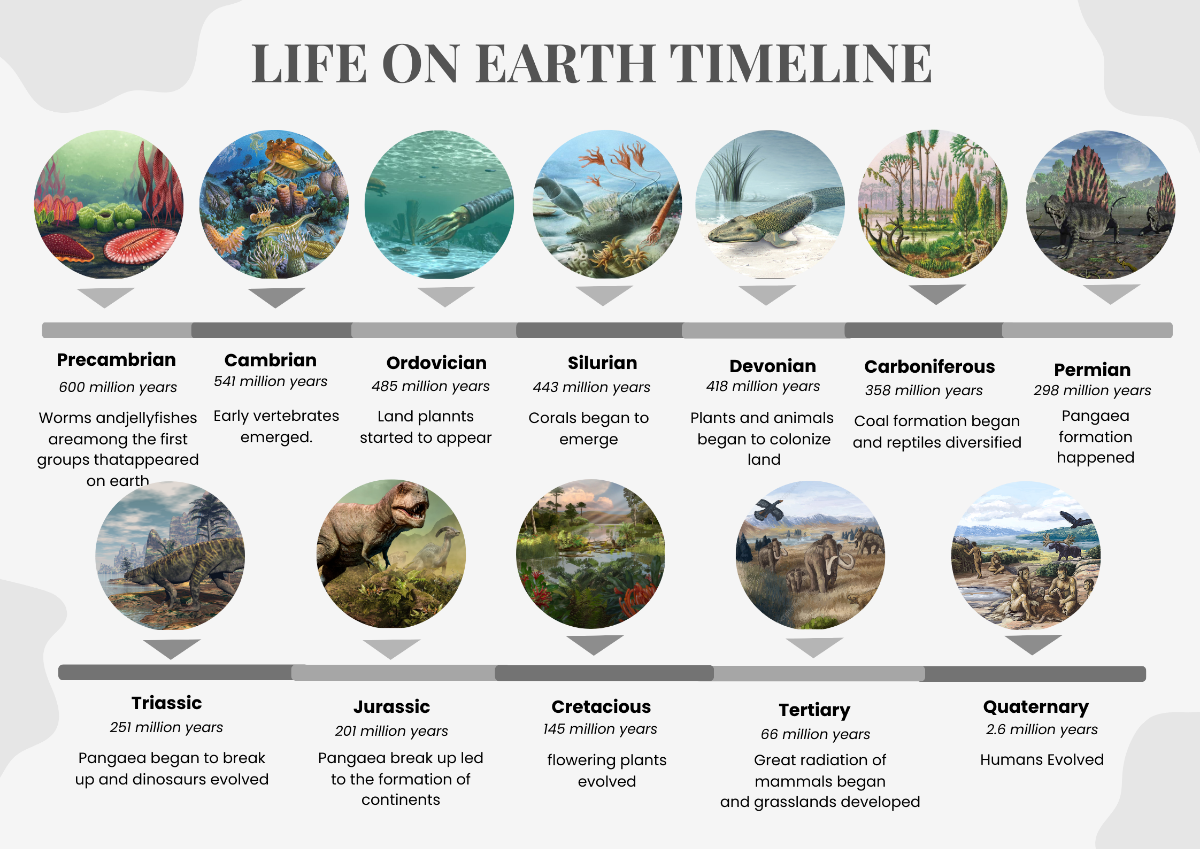 Earth Timeline Chart Template