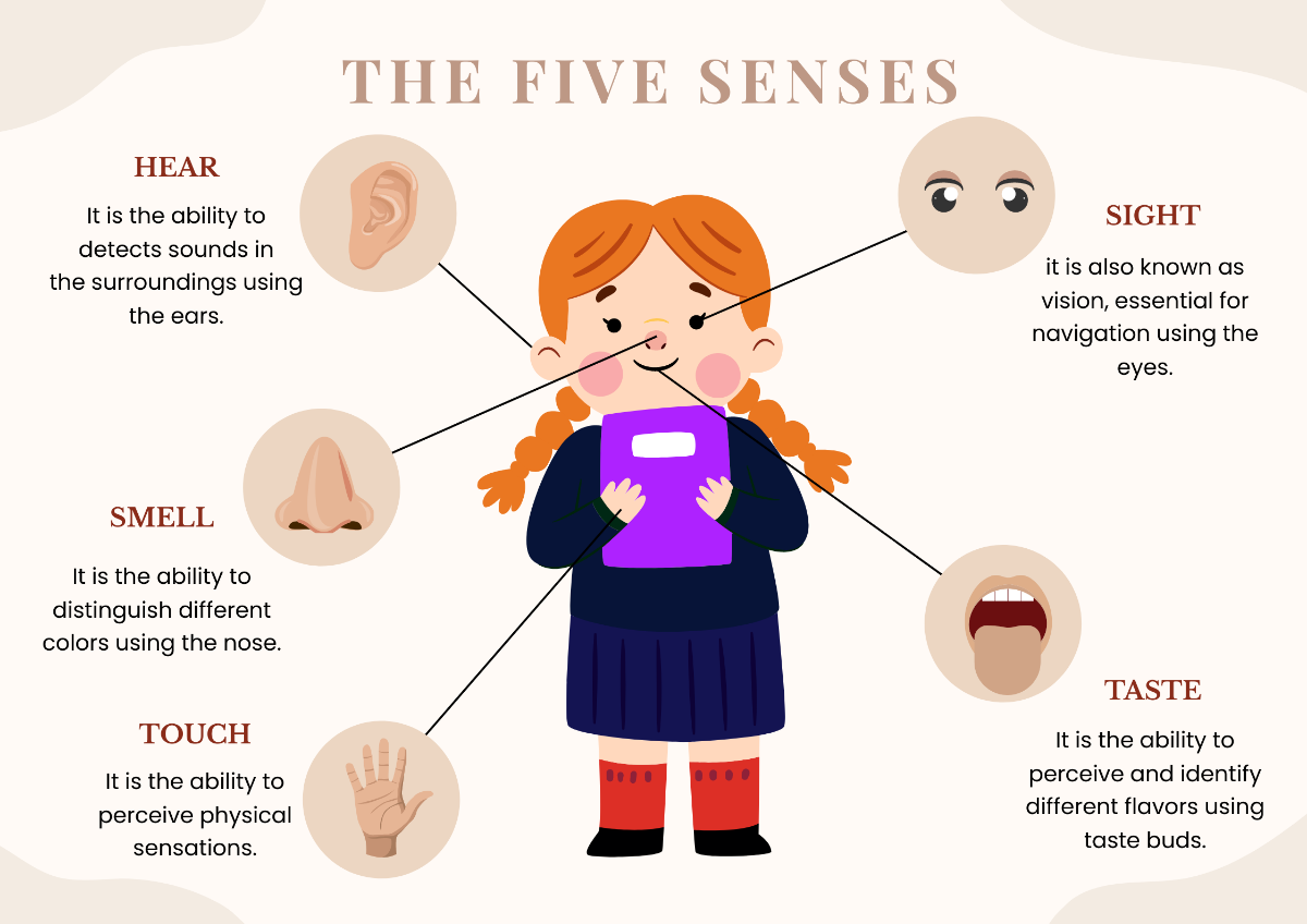 Five Senses Chart For Kindergarten Template