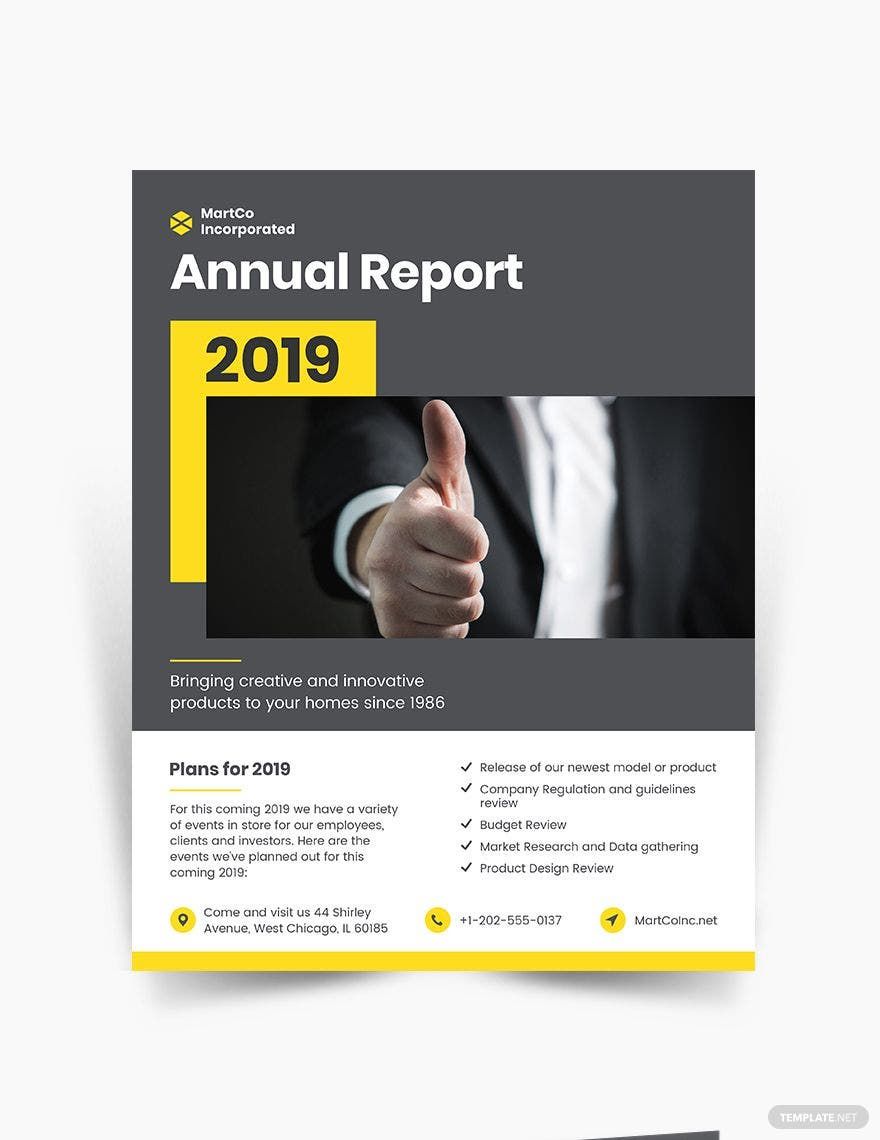 Company Annual Report Flyer Template