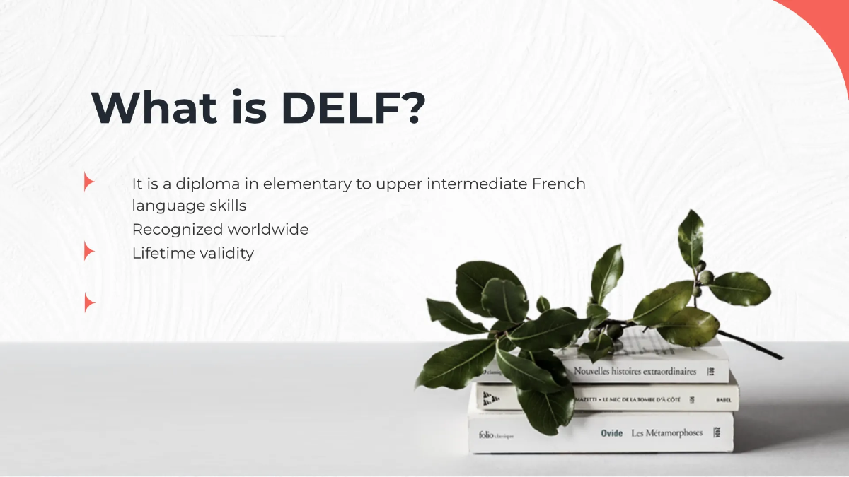 Free Professional Foreign Language Presentation Template to Edit Online