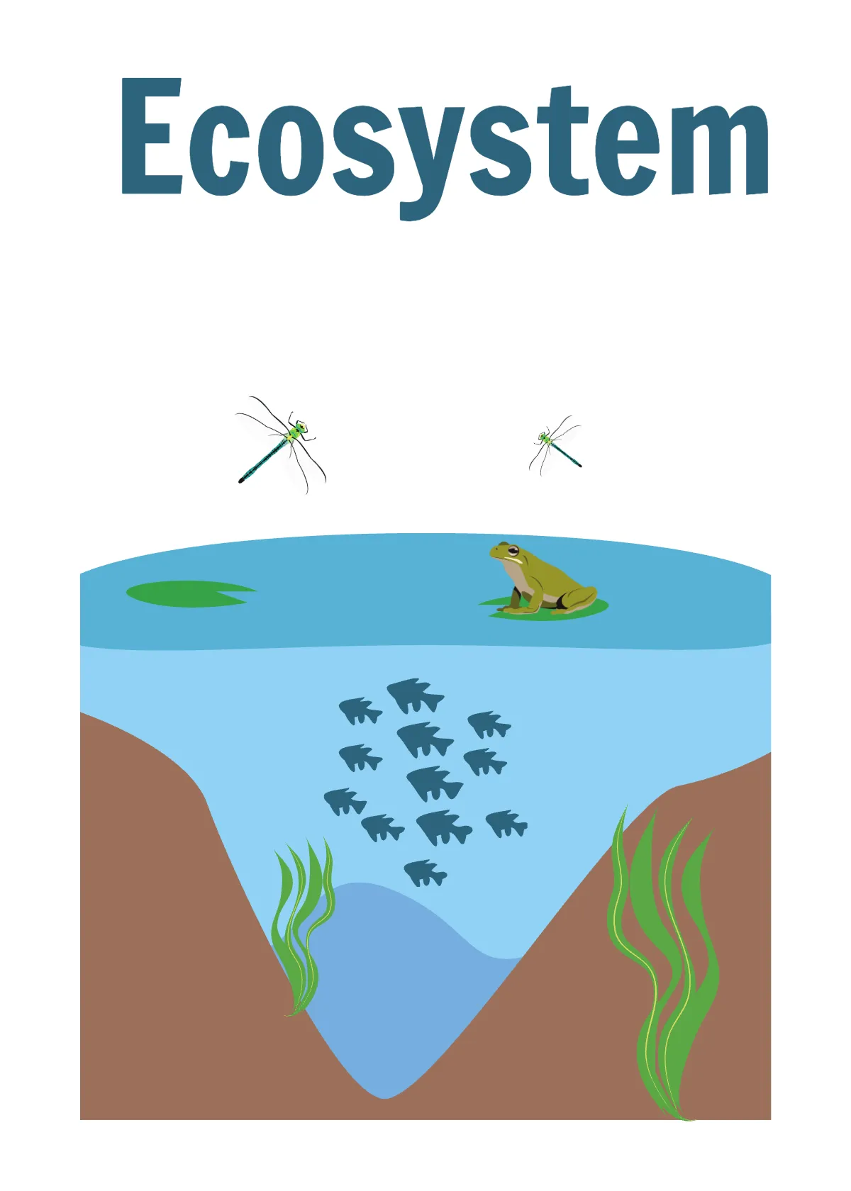 Free Earth Flashcard Template to Edit Online