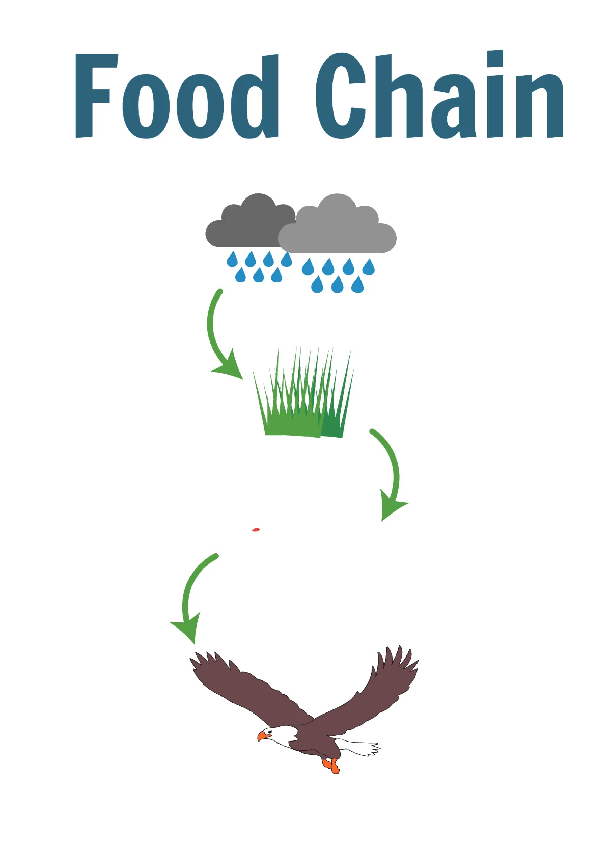 Free Earth Flashcard Template to Edit Online