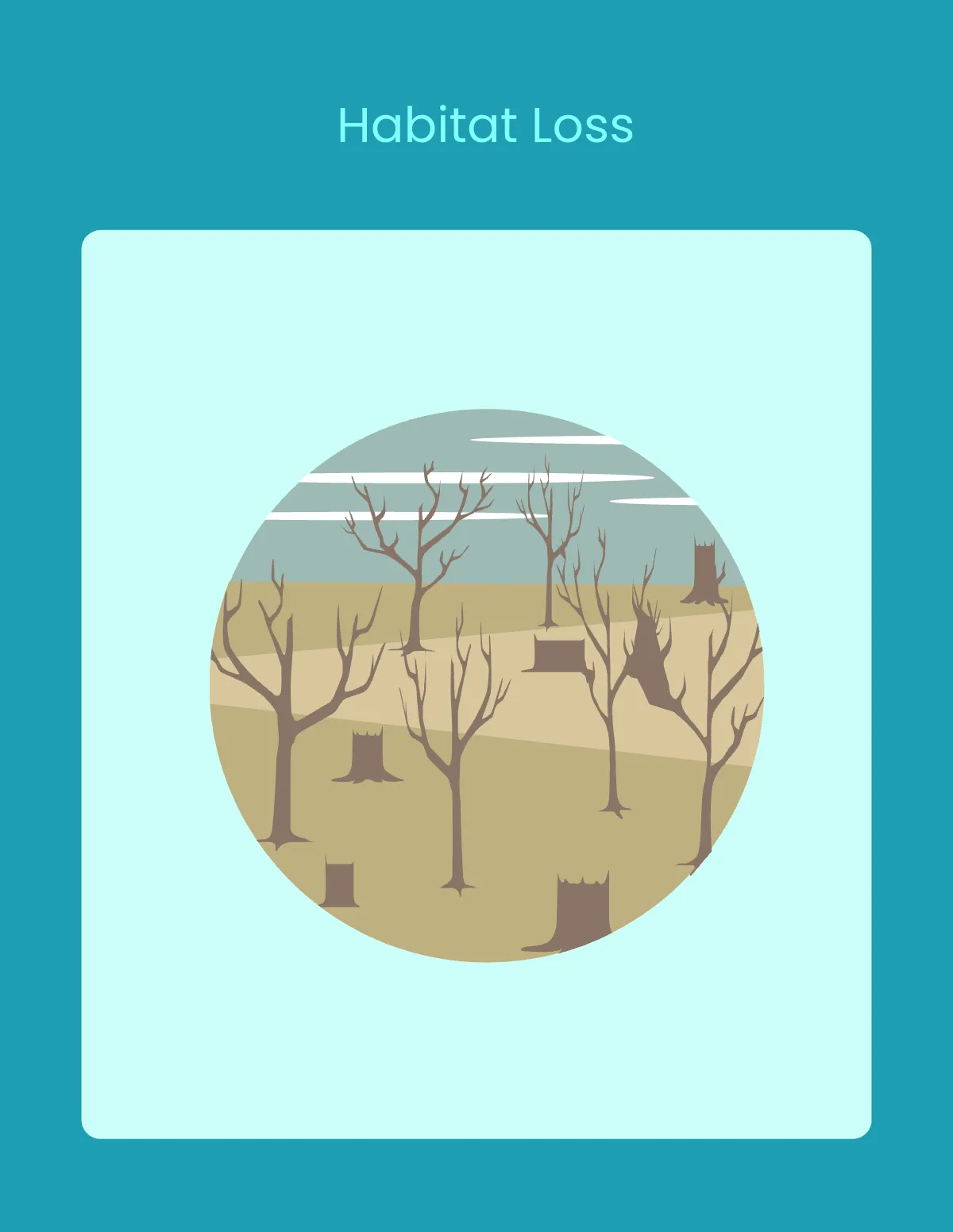 Free Climate Change Flashcard Template to Edit Online