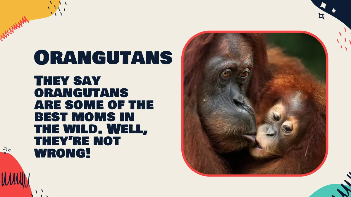 Free Fun Mother's Day Presentation Template to Edit Online