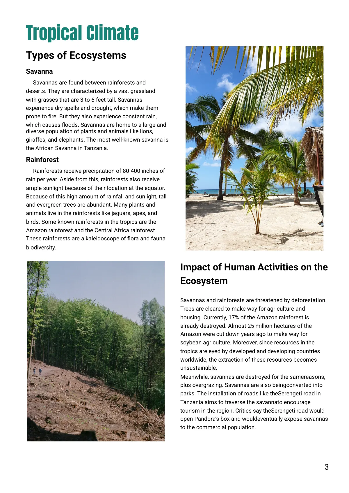 Free World Climate Handout Template to Edit Online