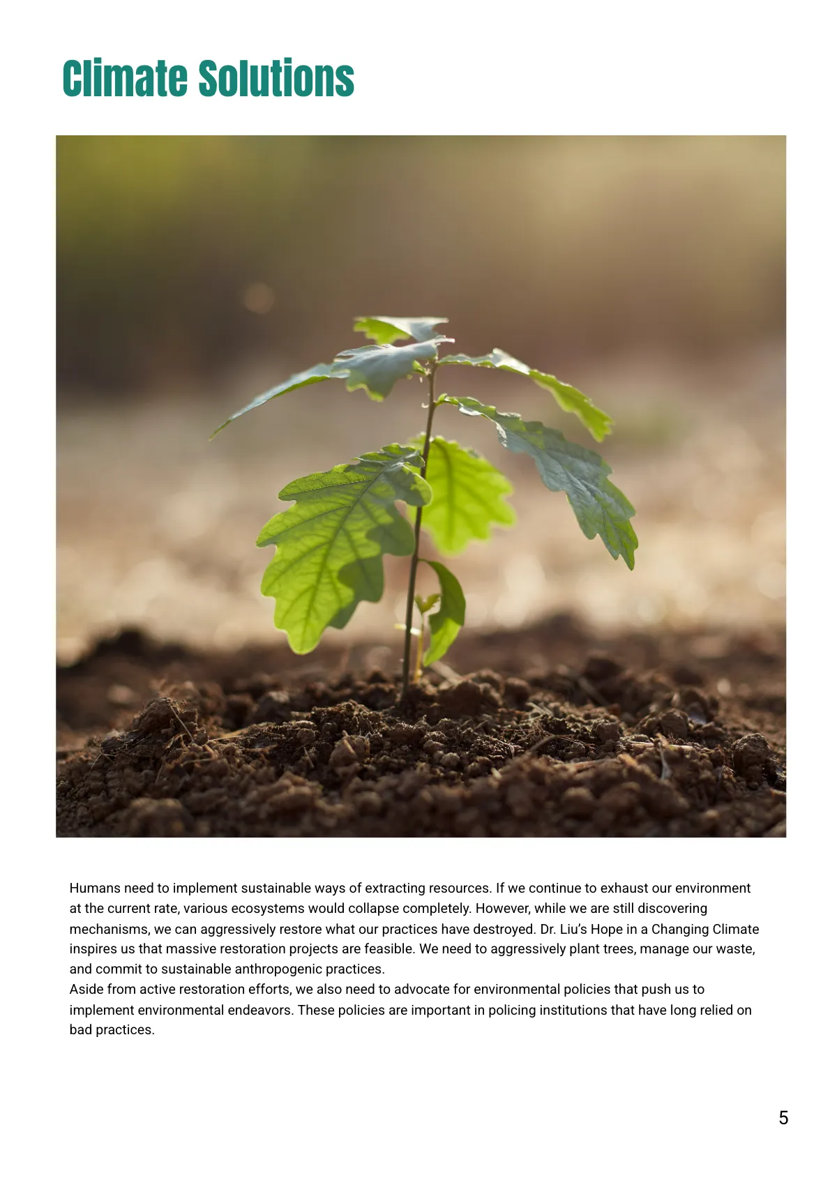 Free World Climate Handout Template to Edit Online