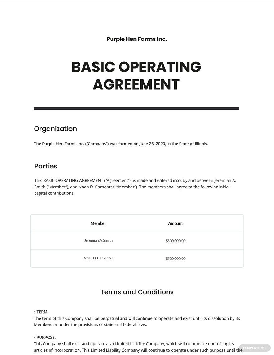 Basic Operating Agreement Template