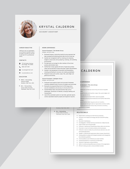 Account Assistant Resume Download
