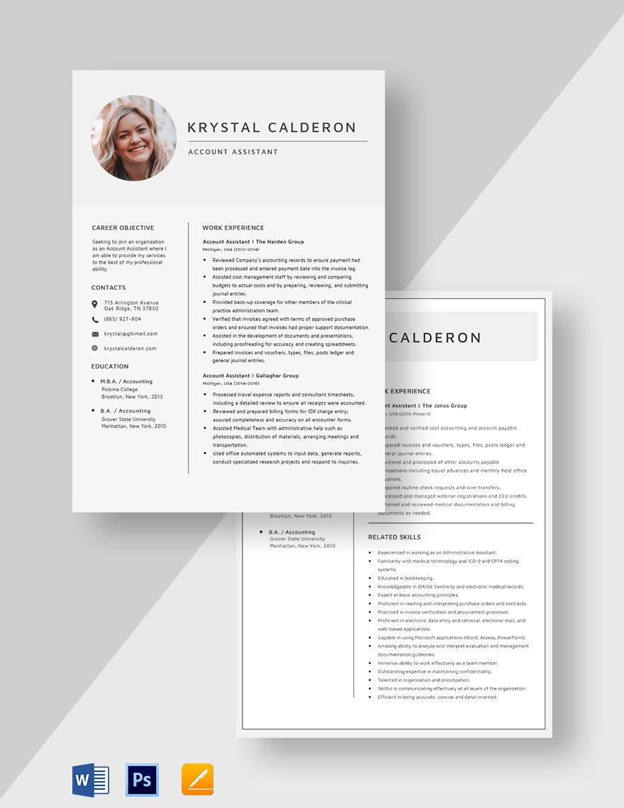 resume format for account assistant in word