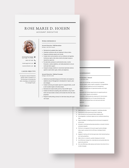 Account Executive Resume Download