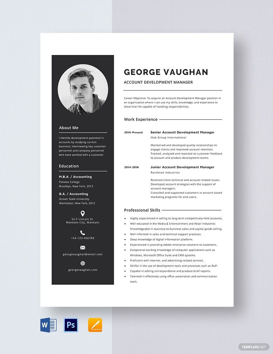 Account Development Manager Resume Template