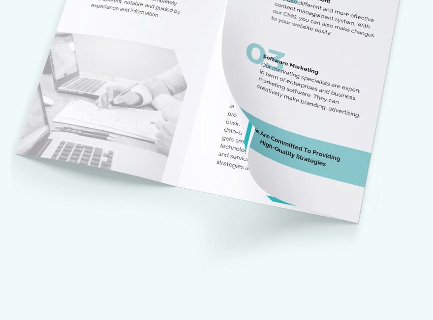 Marketing Consultant TriFold Brochure
