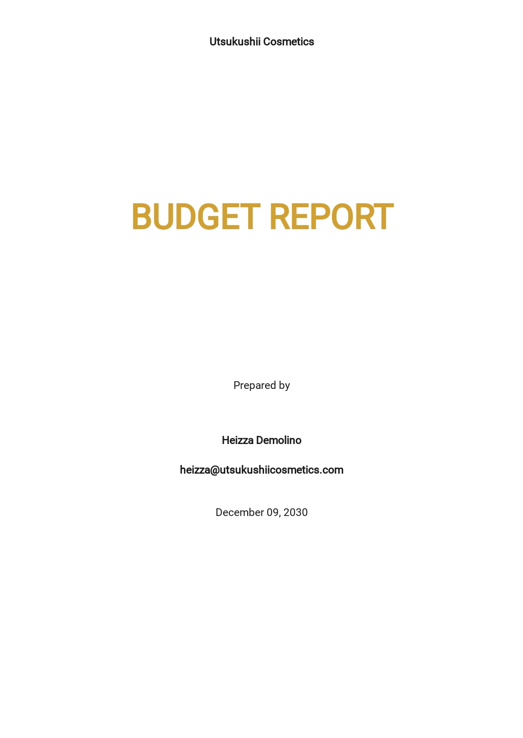 Sample Budget Report Template.jpe