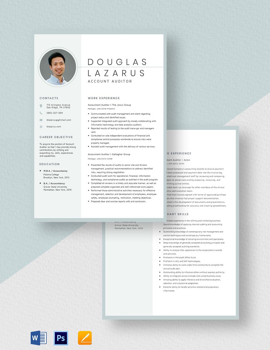 Accountant Auditor Resume Template