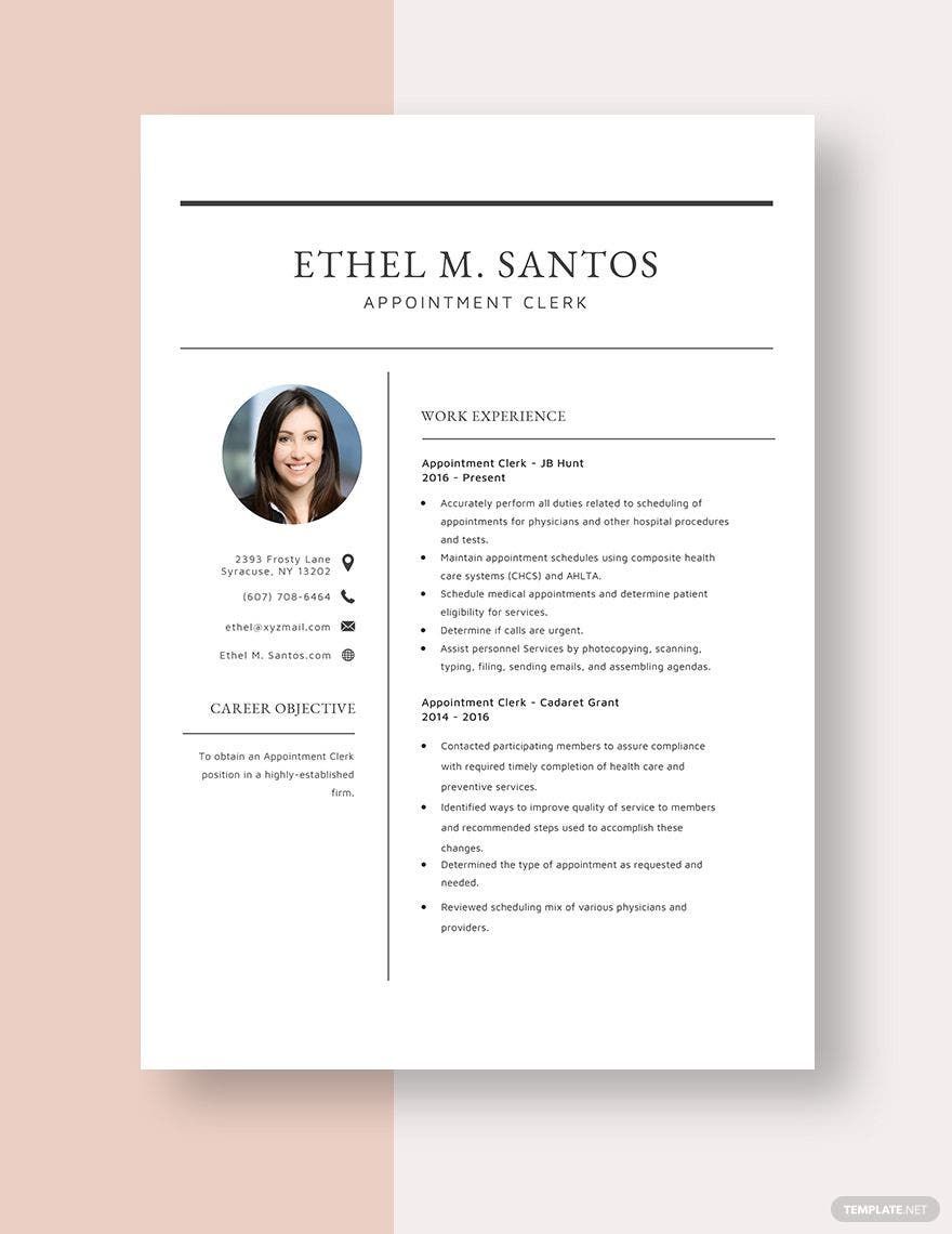 Appointment Clerk Resume in Word, Apple Pages