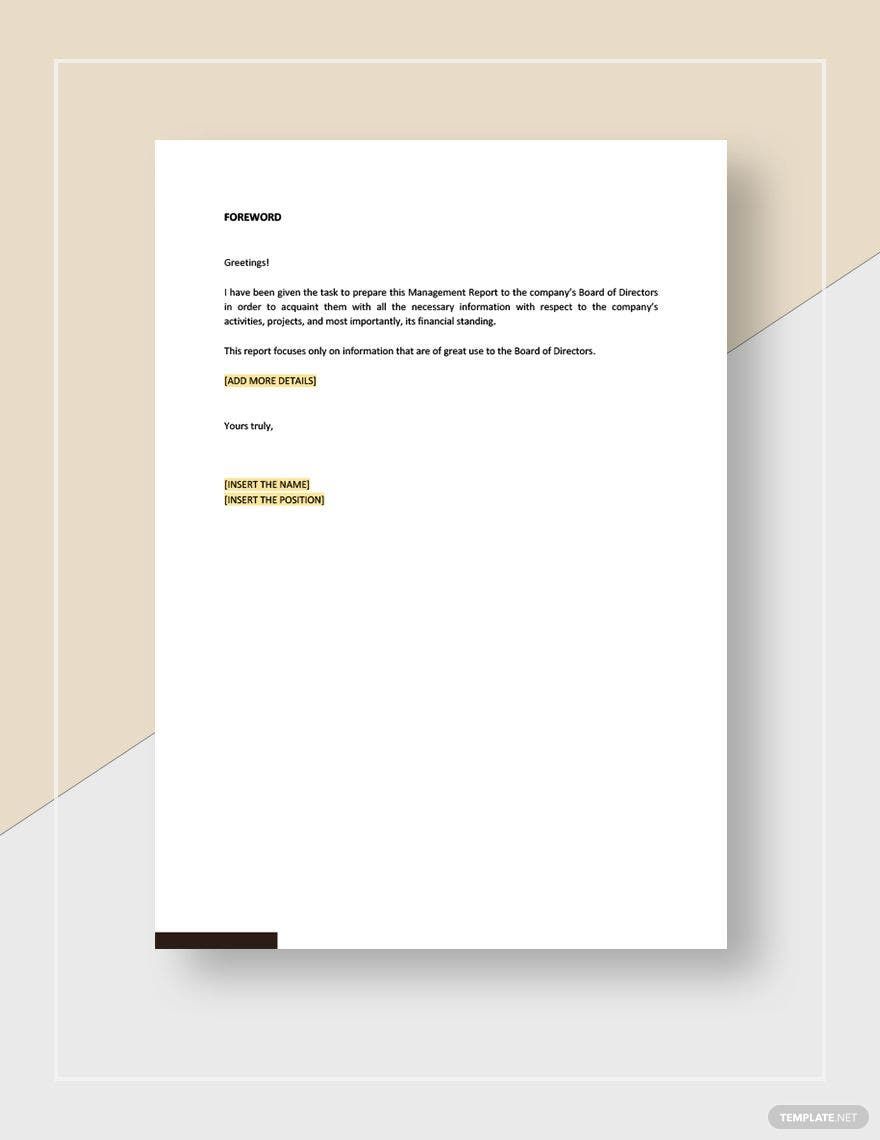 Management Report To Board of Directors Template