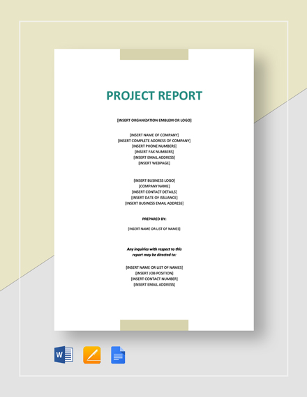 sample project report for investors