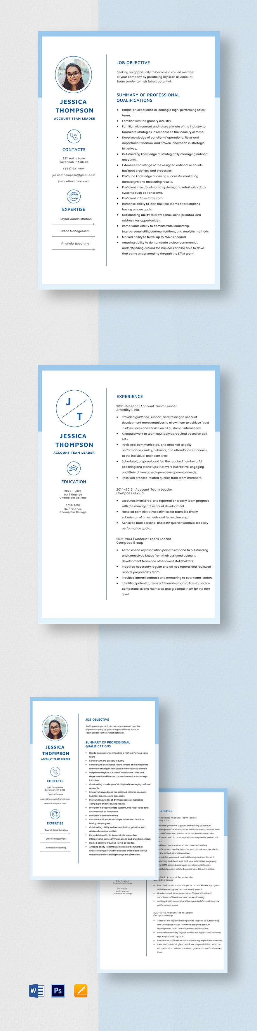 team leader resume format free download