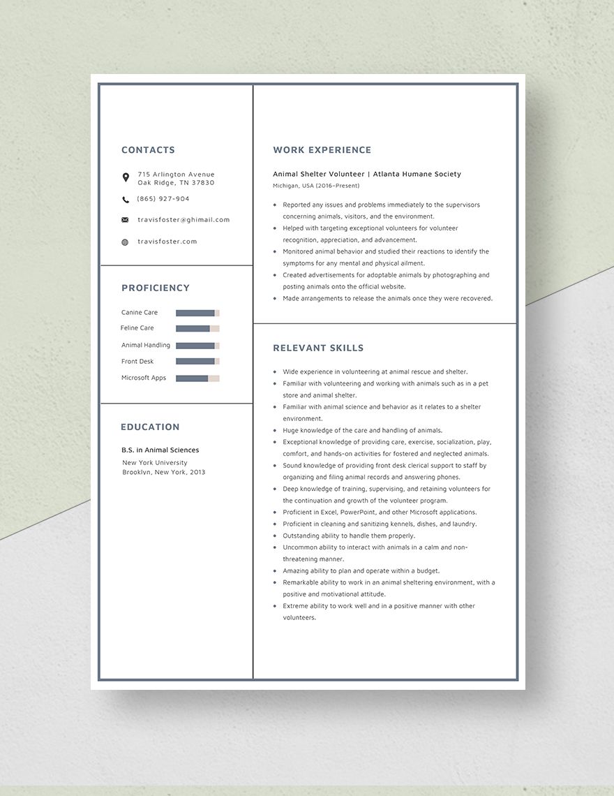 Animal Shelter Volunteer Resume - Word, Apple Pages, PSD 