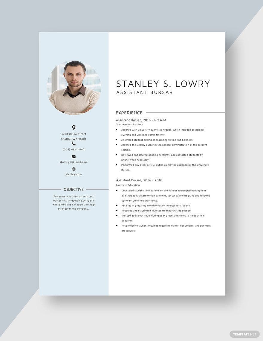 Assistant Bursar Resume in Word, Apple Pages