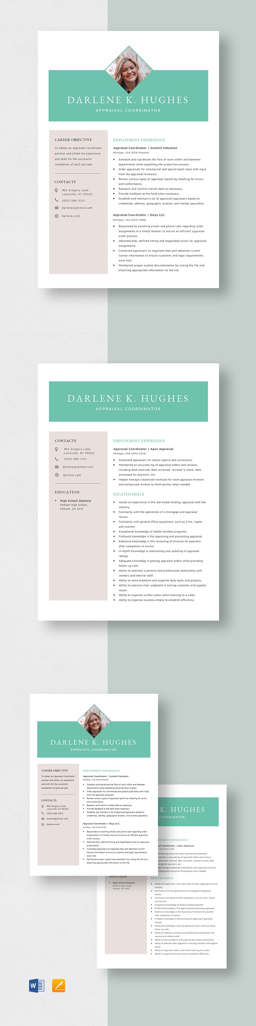 Marketing and Sales Coordinator Resume Template Word Apple Pages