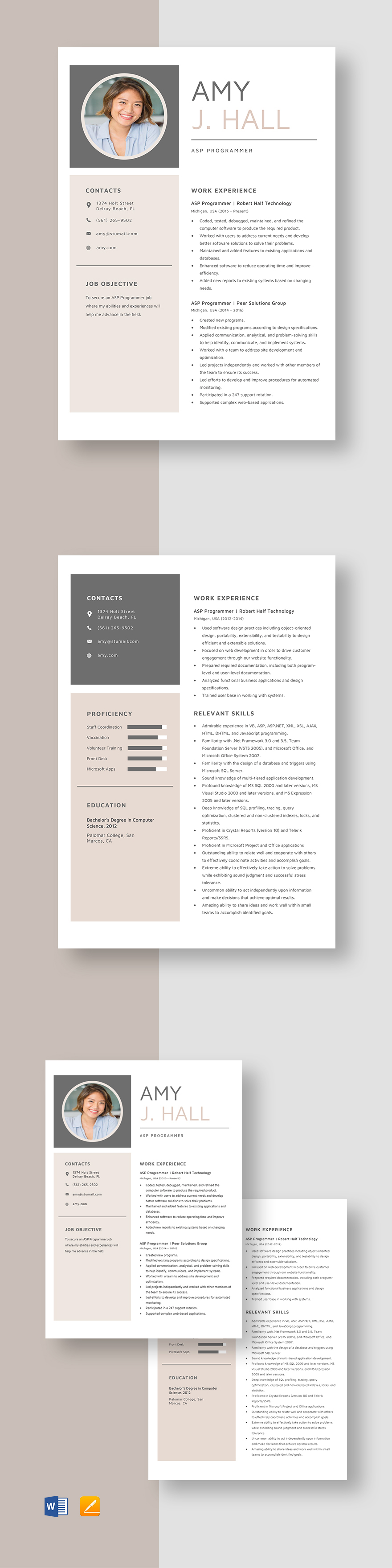 data-programmer-resume-template-word-apple-pages-template