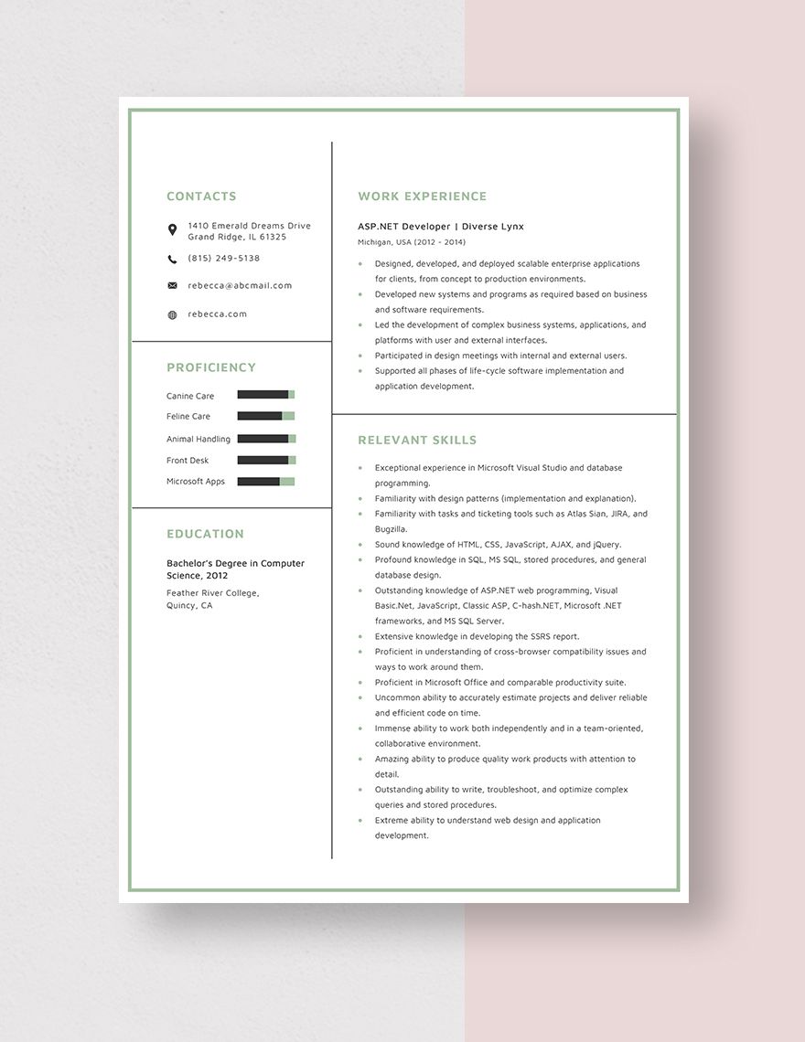 ASP.NET Developer Resume