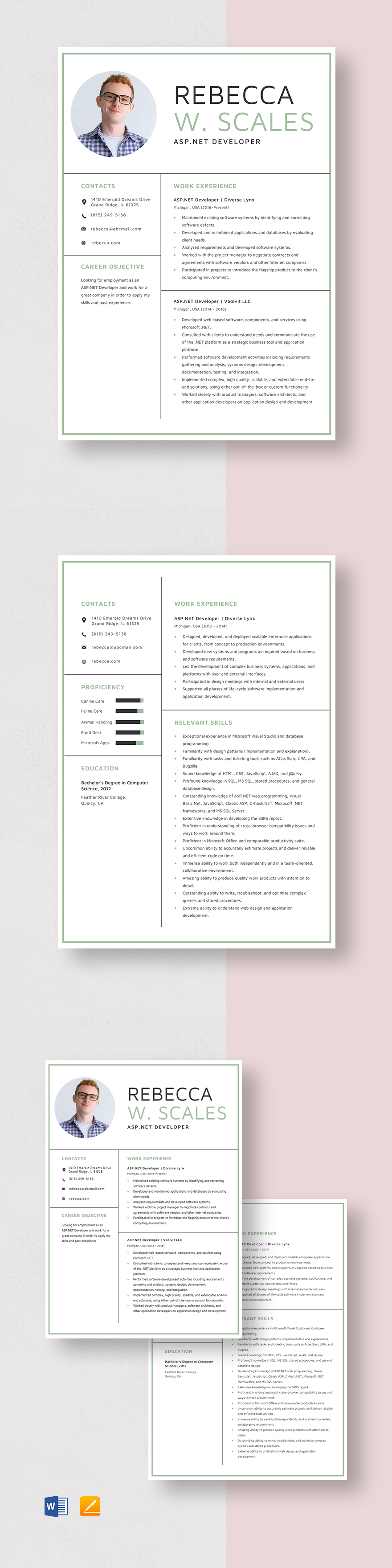 Programmer Resume Template Word, Apple Pages