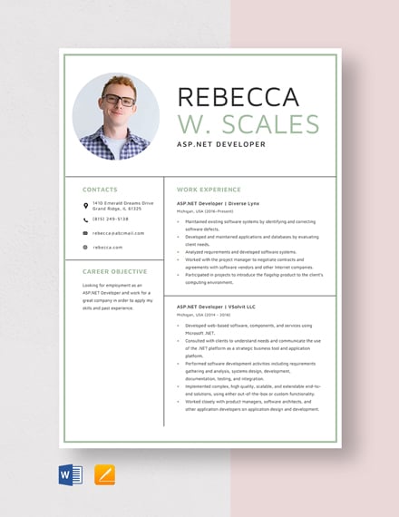 FREE Web Developer Resume Template Download 1471 Resume