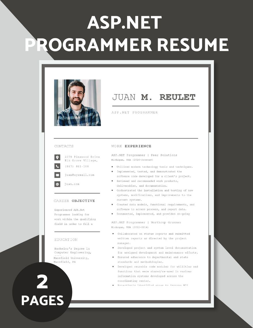 ASP.Net Programmer Resume