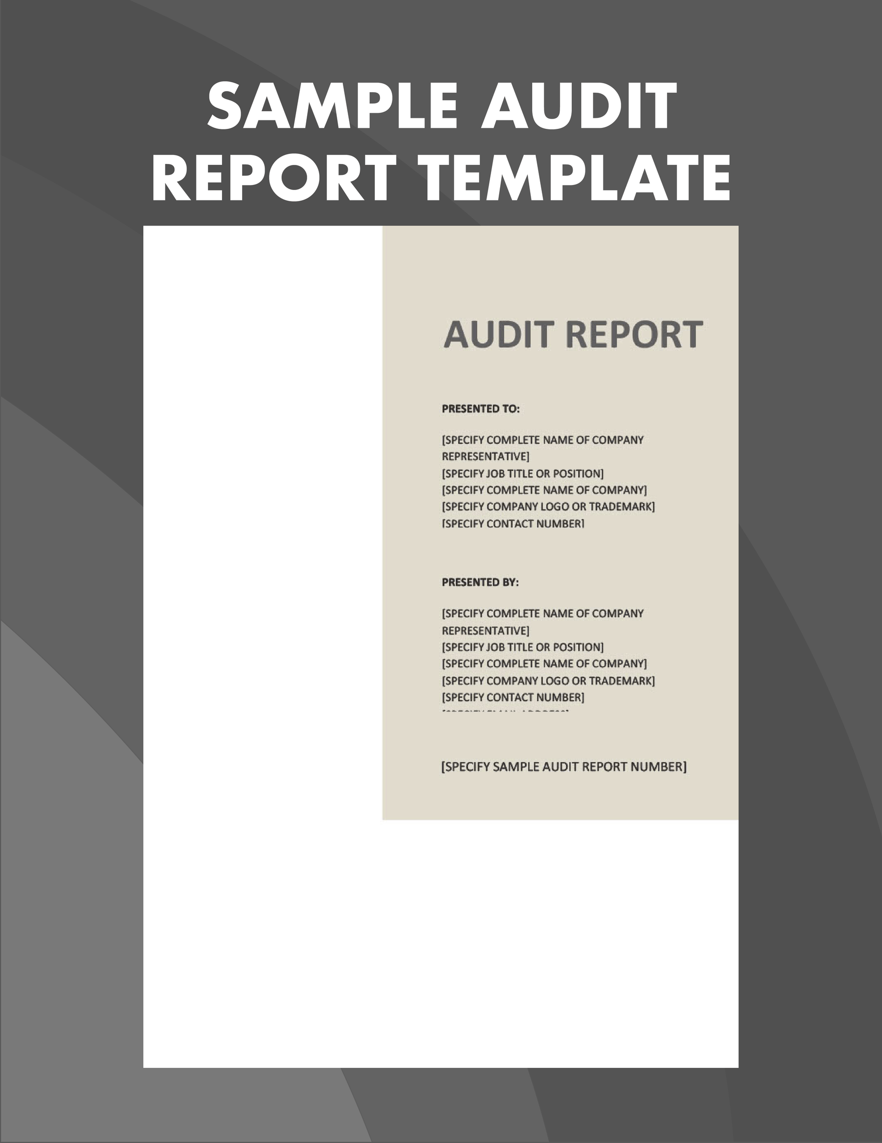 Sample Audit Report Template