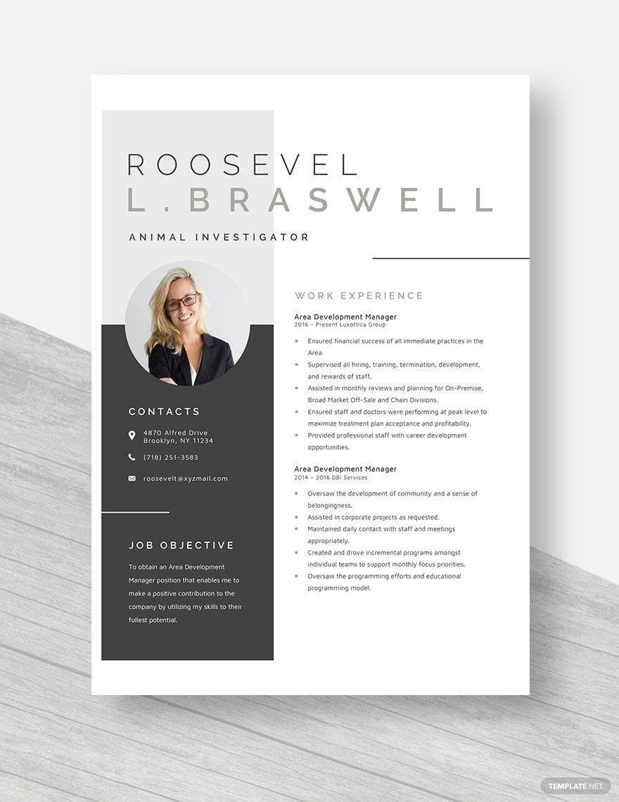 Area Development Manager Resume Template