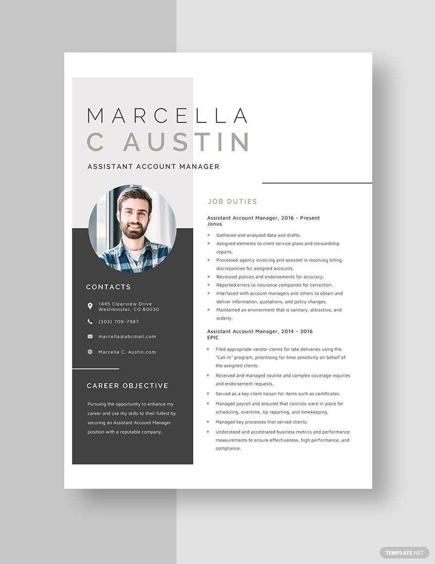 Assistant Account Manager Resume Template