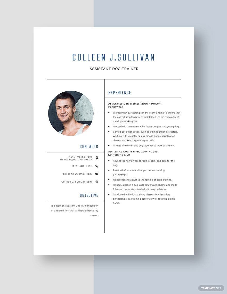 Assistant Dog Trainer Resume Template