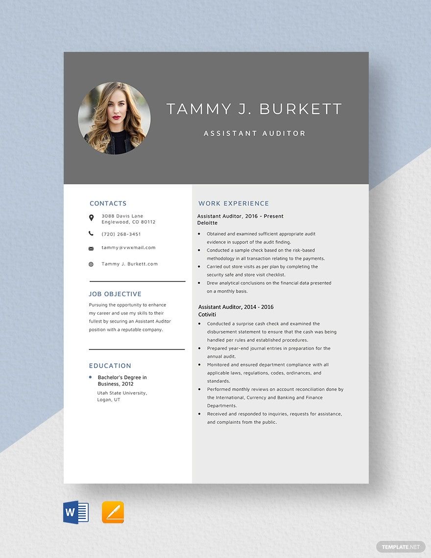 Assistant Auditor Resume
