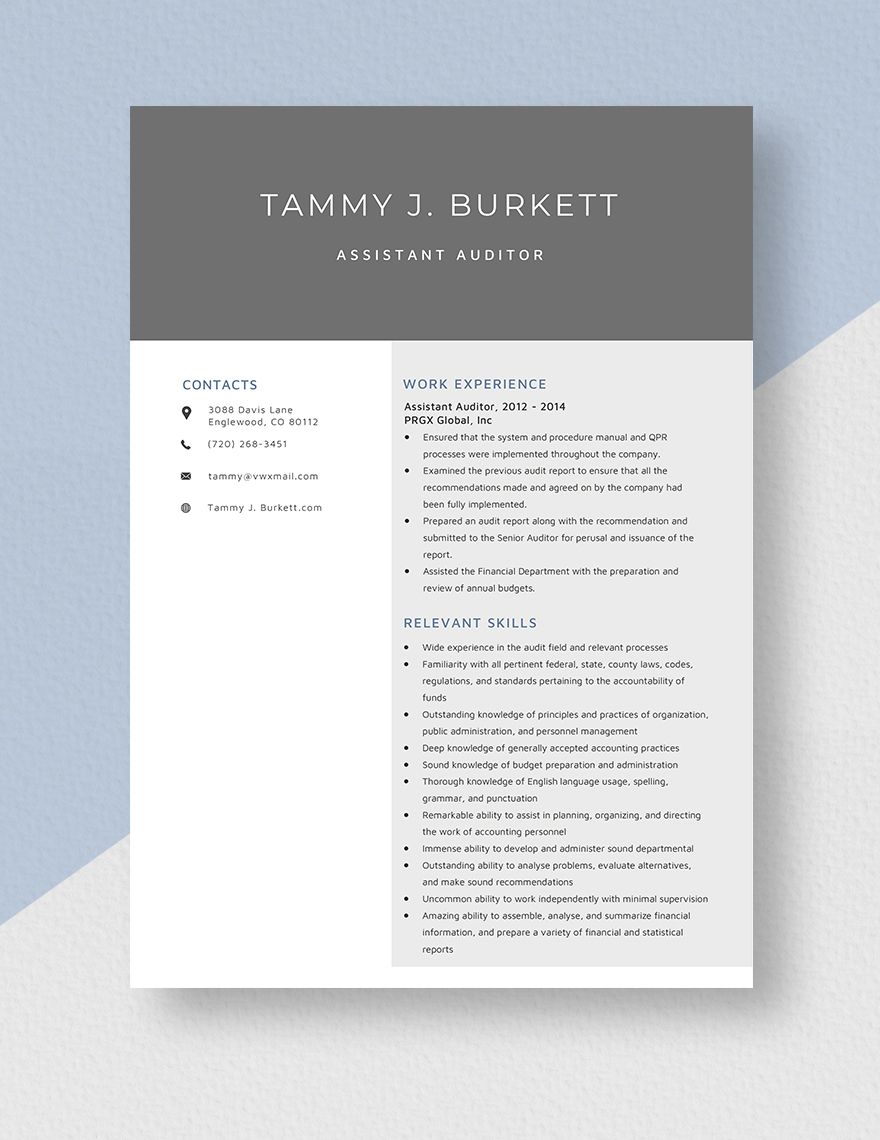 Assistant Auditor Resume Template