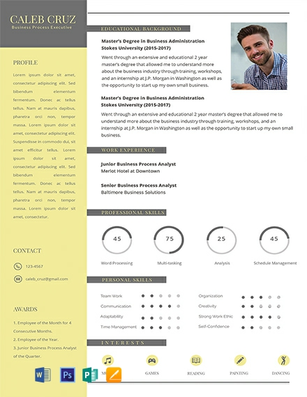 Business Process Executive Resume Template - Word, Apple Pages, PSD, Publisher