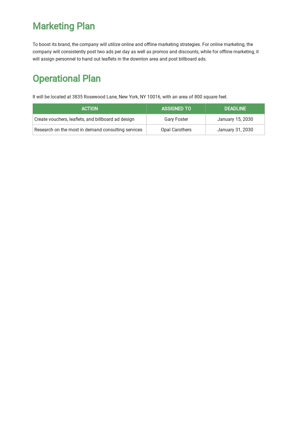 One Year Business Plan Template