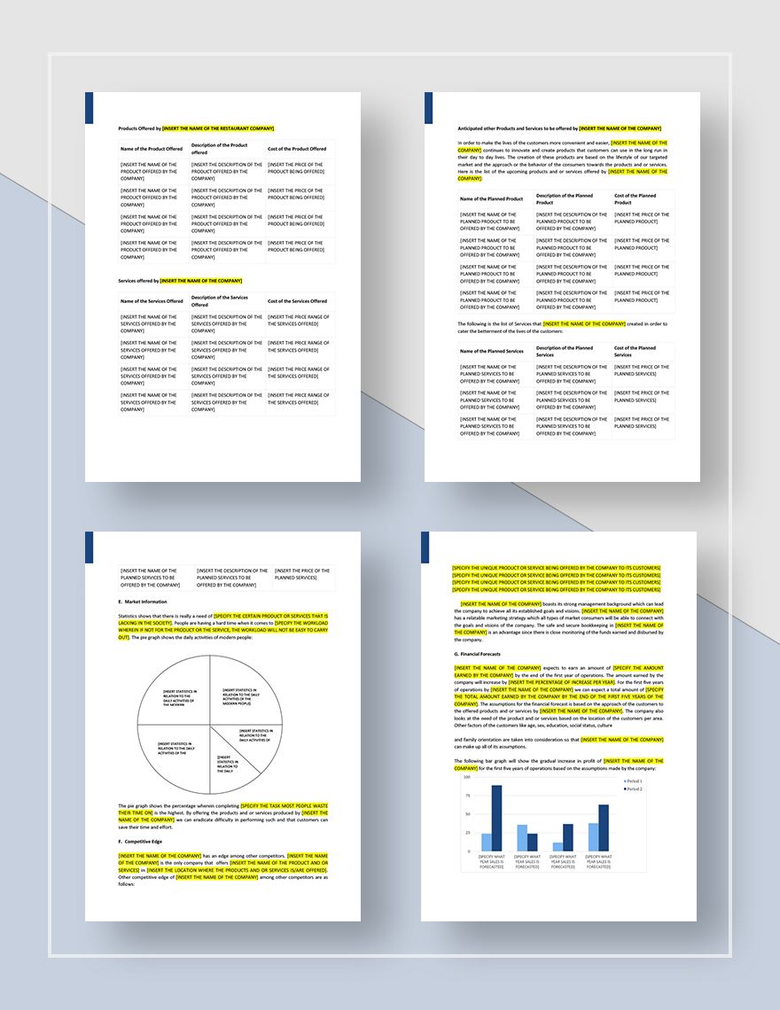 5 year business plan template word