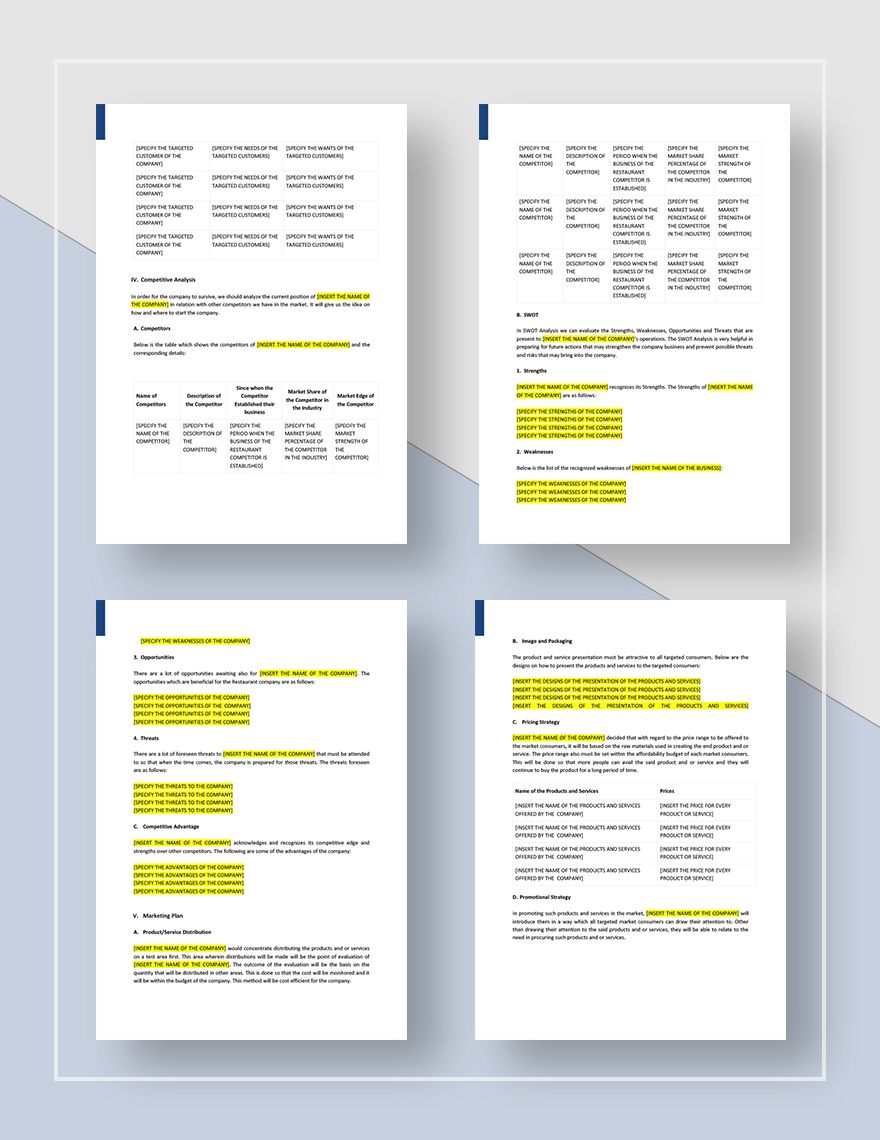 5 year business plan template word