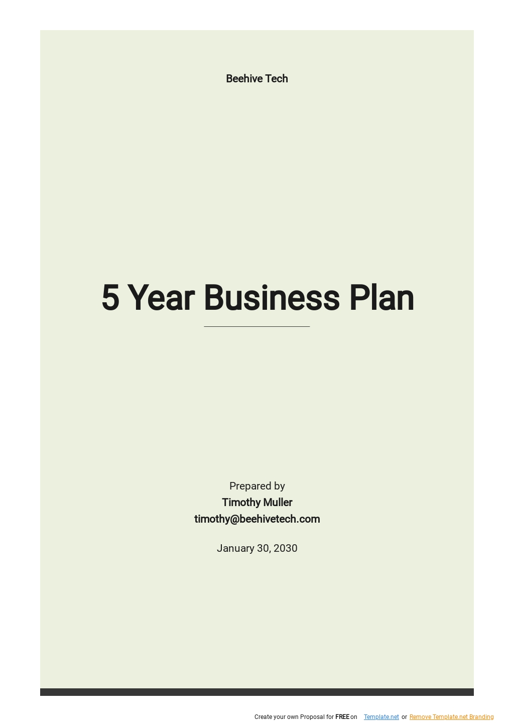 5 Year Business Plan Template.jpe