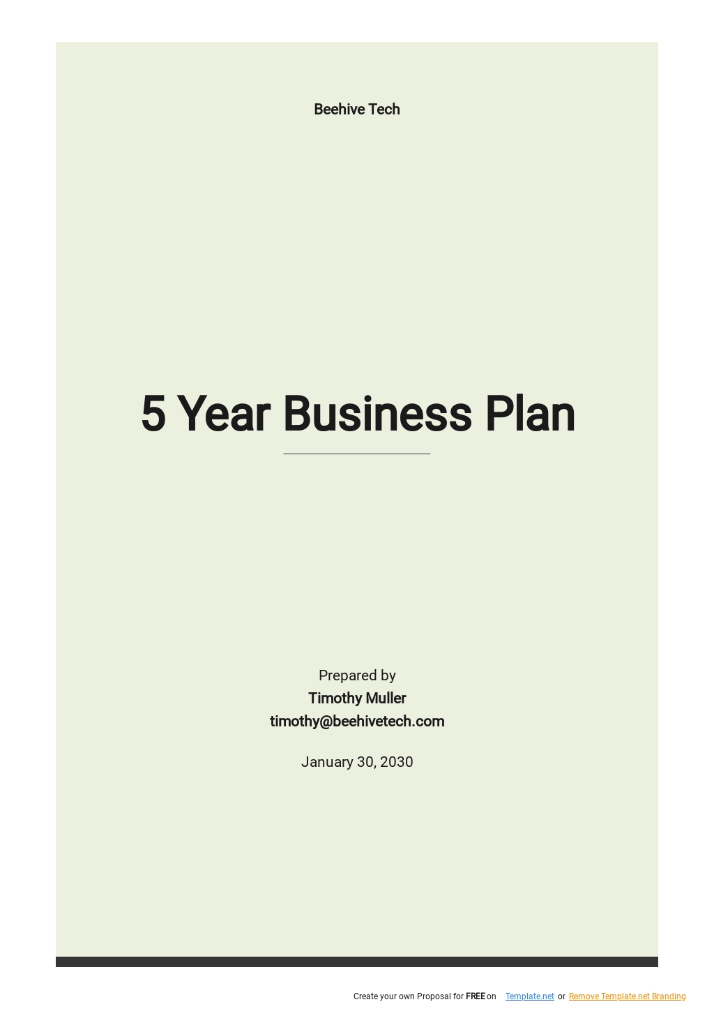 5 Year Plan Template Free PDF Google Docs Word PDF Template